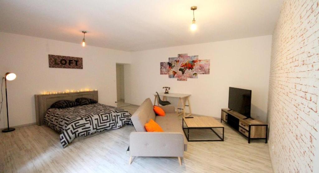 Appartements Baron Bouvier Vesoul Bagian luar foto