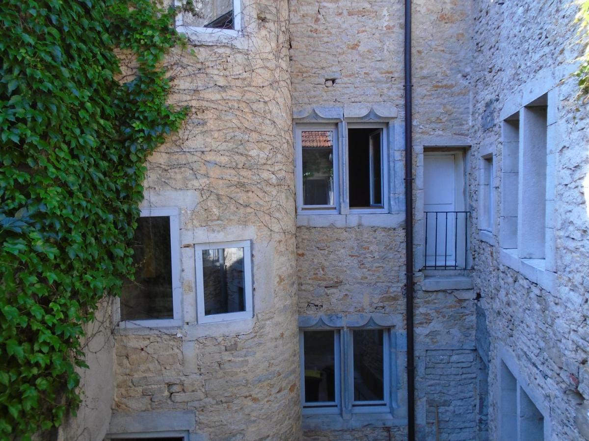 Appartements Baron Bouvier Vesoul Bagian luar foto